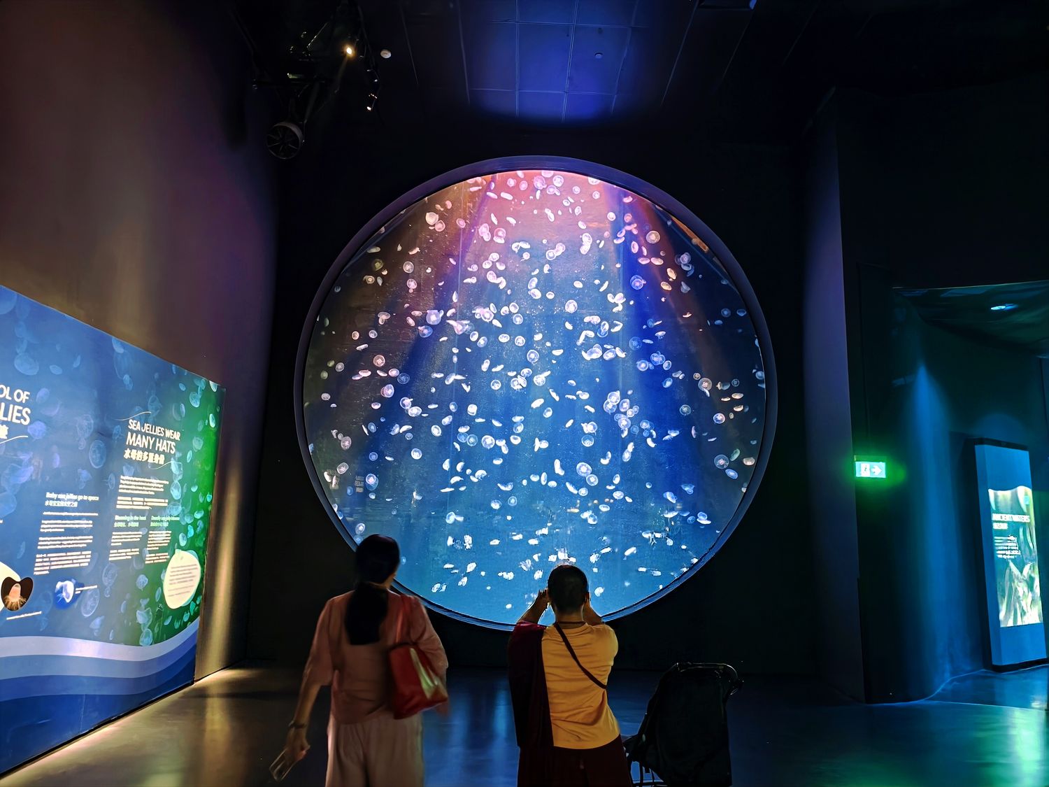 2026 新加坡海洋館 ｜變身新加坡海洋生態館!改裝後值得去嗎? 6大亮點、門票交通懶人包 @混血珊莎的奇幻旅程