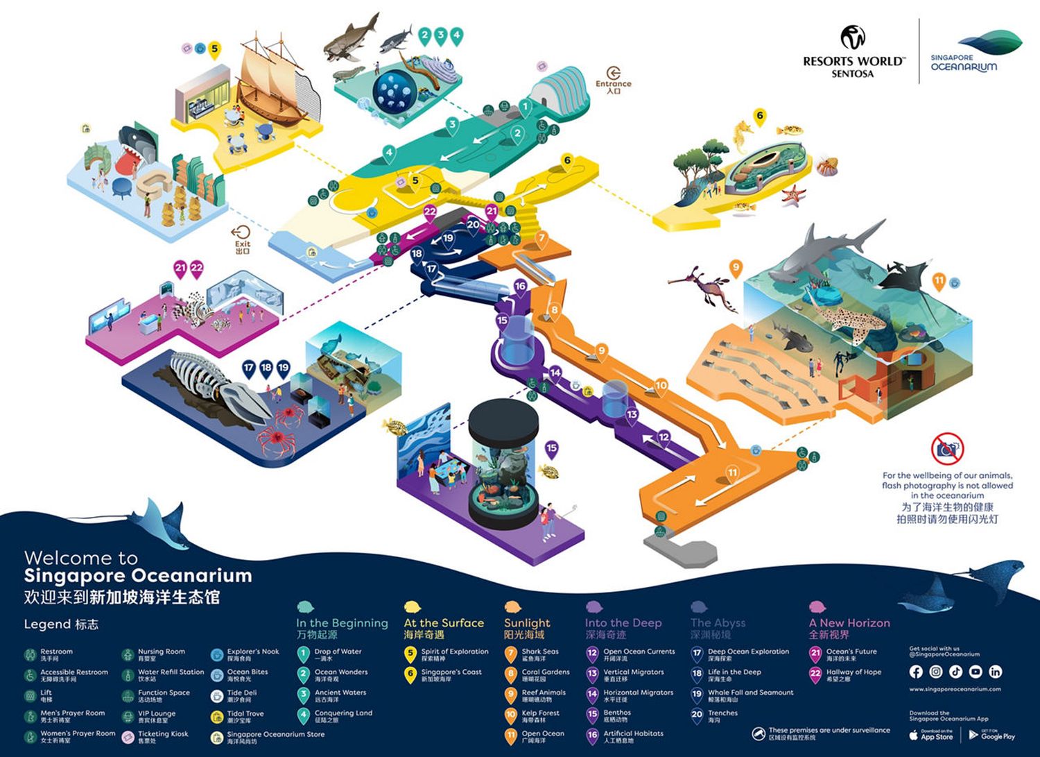 2026 新加坡海洋館 |變身新加坡海洋生態館!改裝後值得去嗎? 6大亮點、門票交通懶人包 @混血珊莎的奇幻旅程 2026 新加坡海洋館 |變身新加坡海洋生態館!改裝後值得去嗎? 6大亮點、門票交通懶人包 @混血珊莎的奇幻旅程