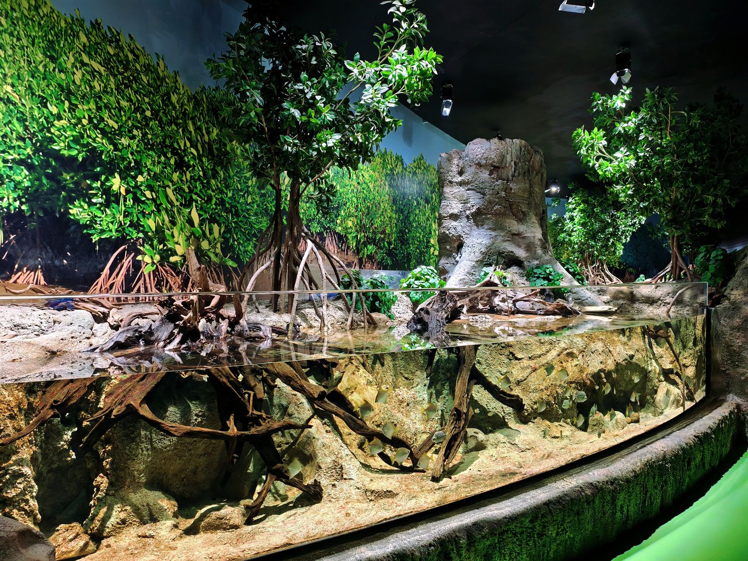 2026 新加坡海洋館 ｜變身新加坡海洋生態館!改裝後值得去嗎? 6大亮點、門票交通懶人包 @混血珊莎的奇幻旅程