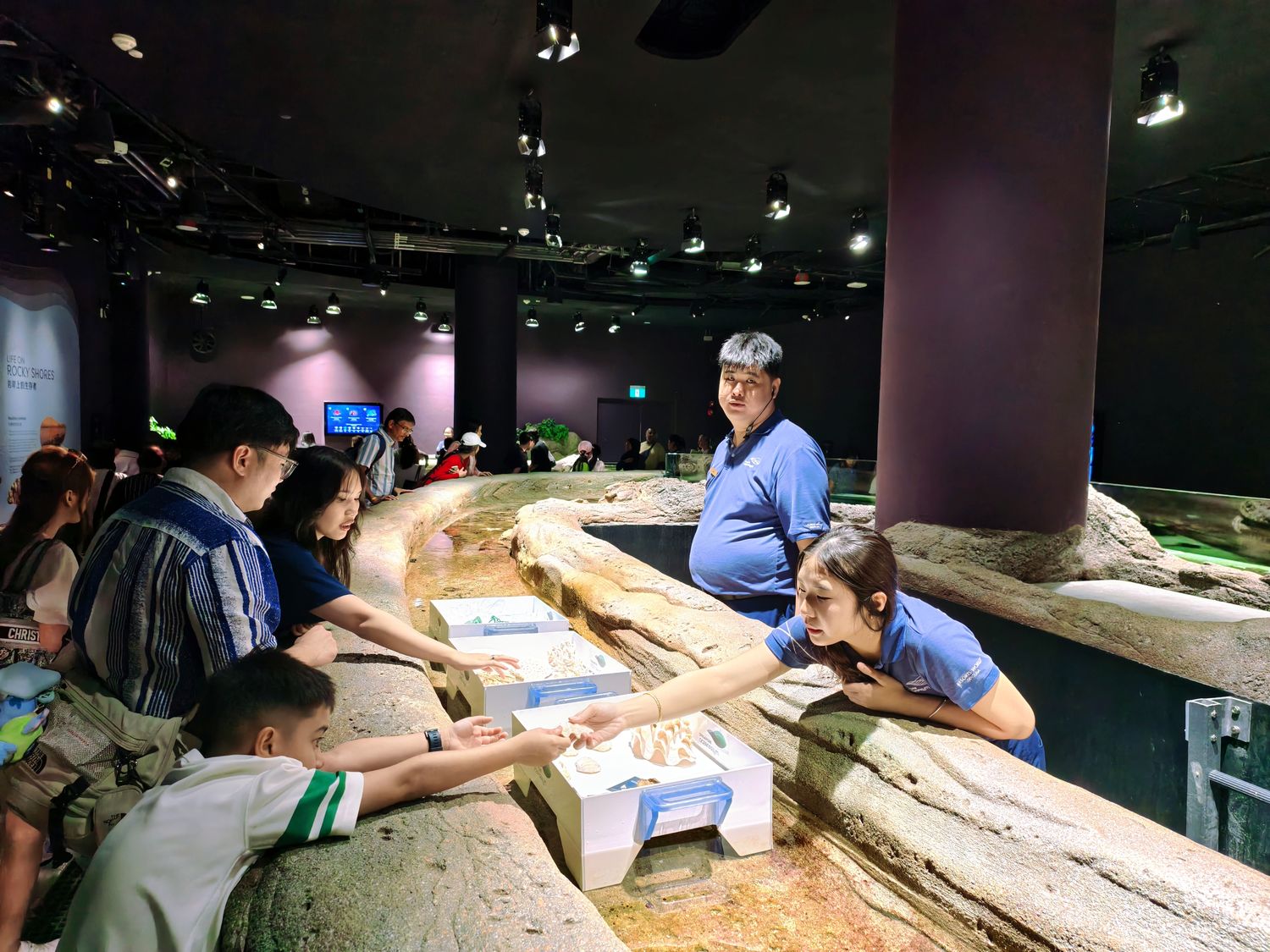 2026 新加坡海洋館 |變身新加坡海洋生態館!改裝後值得去嗎? 6大亮點、門票交通懶人包 @混血珊莎的奇幻旅程 2026 新加坡海洋館 |變身新加坡海洋生態館!改裝後值得去嗎? 6大亮點、門票交通懶人包 @混血珊莎的奇幻旅程