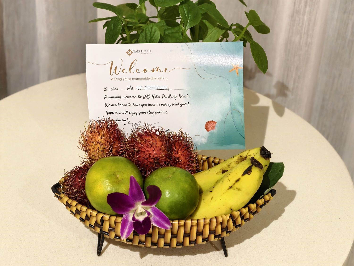 【峴港住宿】TMS Hotel Da Nang Beach 開箱！美溪沙灘第一排，頂樓無邊際泳池超美! @混血珊莎的奇幻旅程