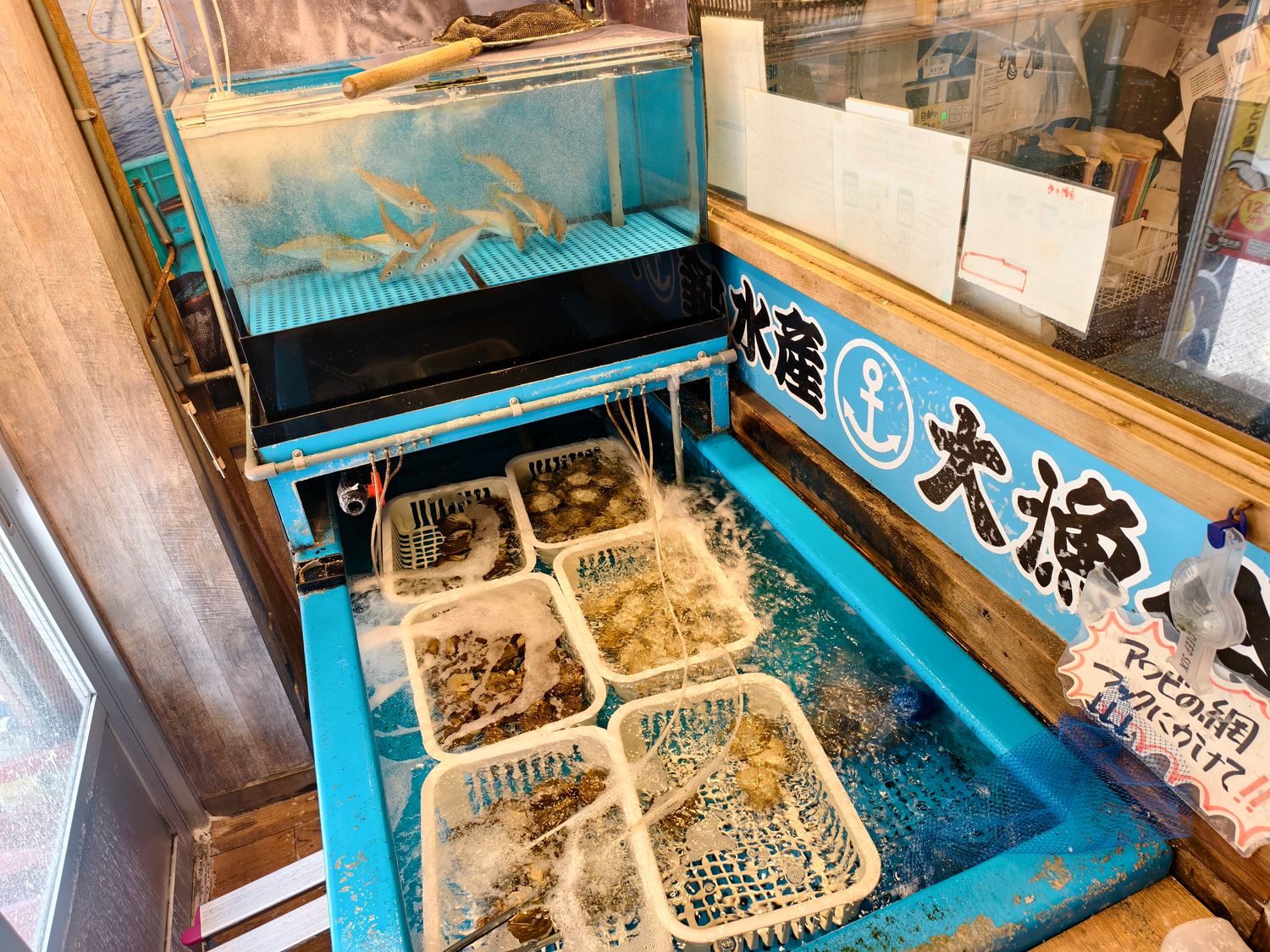 【日本美食】磯丸水產|24小時營業平價海鮮天堂,東京新宿/上野/淺草/澀谷/大阪/神戶通通有! @混血珊莎的奇幻旅程 【日本美食】磯丸水產|24小時營業平價海鮮天堂,東京新宿/上野/淺草/澀谷/大阪/神戶通通有! @混血珊莎的奇幻旅程