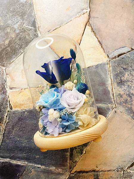 【開箱】MAGIPEA美極品 超好拍背景神器 完美背景神器 一秒變好看 @混血珊莎的奇幻旅程