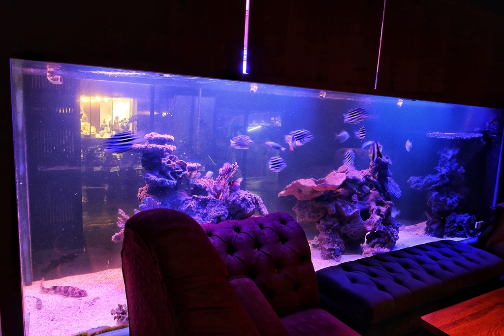 【Aqua lounge】東區酒吧│夢幻系水族箱，獨家小熊調酒擄獲少女心! @混血珊莎的奇幻旅程