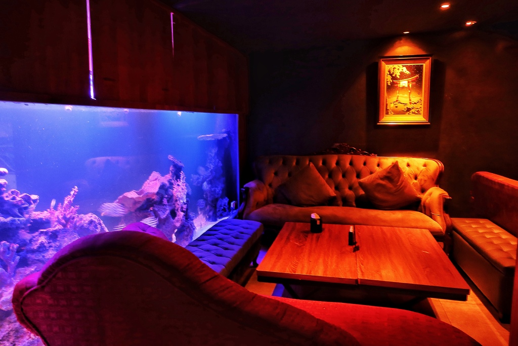 【Aqua lounge】東區酒吧│夢幻系水族箱，獨家小熊調酒擄獲少女心! @混血珊莎的奇幻旅程