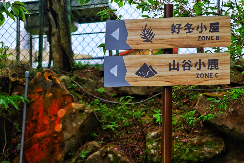 【新竹露營】蟬說霧繞，五峰鄉一泊二食免搭帳懶人露營賞櫻看螢火蟲! @混血珊莎的奇幻旅程