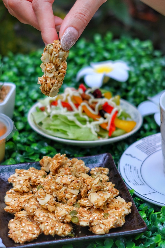 【餅乾開箱】惟朵裸食纖維燕麥脆片/惟朵裸食纖維燕麥棒-法式可可/義式香蒜│健康無負擔 嘴饞必備零食│追劇/露營/聚餐/工作必備餅乾 @混血珊莎的奇幻旅程