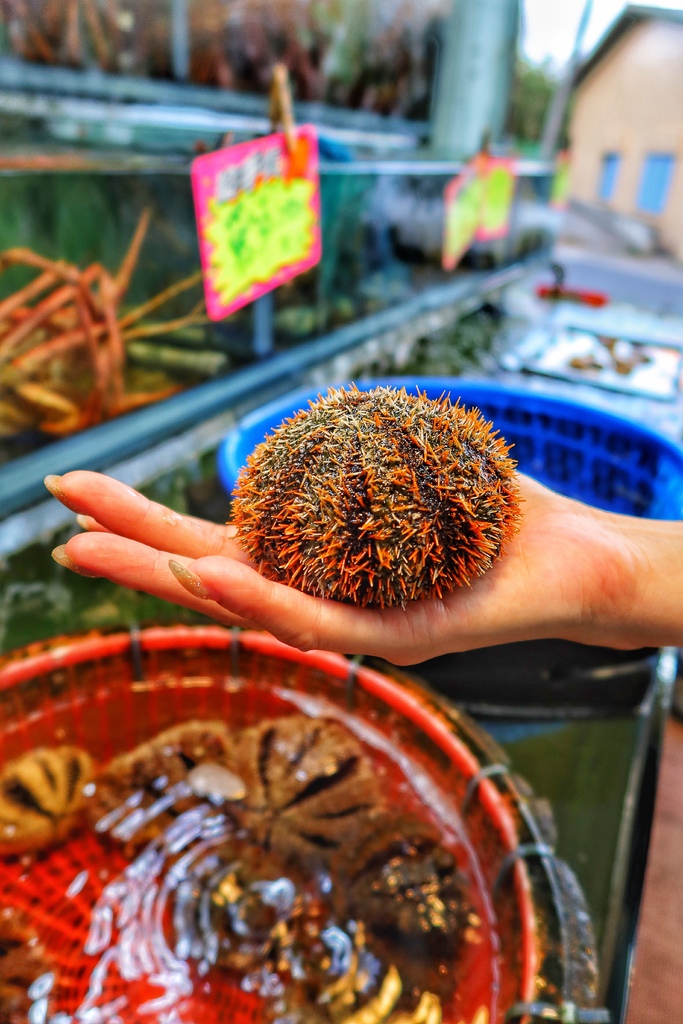 【阿興生魚片】必吃屏東百元超厚生魚片，老饕必點隱藏版龍蝦麵! @混血珊莎的奇幻旅程