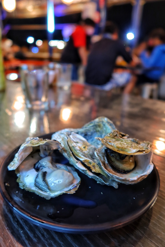 【枋寮美食推薦】龍炭烤，港邊人氣串燒居酒屋! @混血珊莎的奇幻旅程