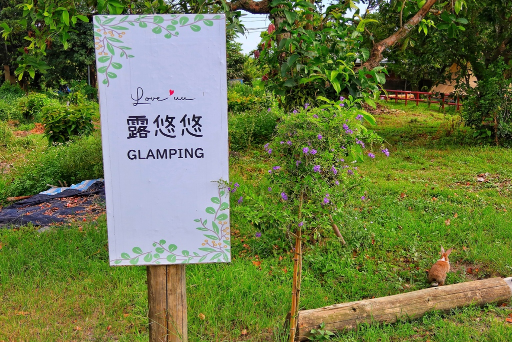 【露悠悠Glamping】 露悠悠露營區，高雄露營免裝備，露天山泉泳池超好玩，貨櫃酒吧好chill! @混血珊莎的奇幻旅程