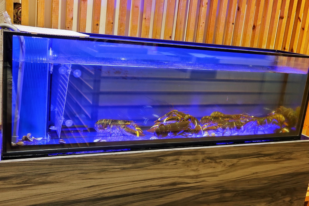 【金門火鍋】恆旨味屋 日式鍋物│招牌日本A5和牛 現撈活體波士頓龍蝦 金門必吃頂級鍋物│金門美食推薦 @混血珊莎的奇幻旅程