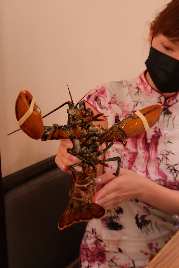 【金門火鍋】恆旨味屋 日式鍋物│招牌日本A5和牛 現撈活體波士頓龍蝦 金門必吃頂級鍋物│金門美食推薦 @混血珊莎的奇幻旅程