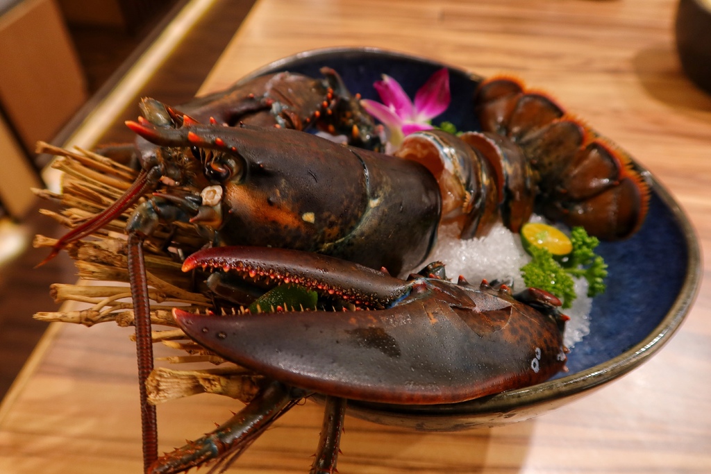 【金門火鍋】恆旨味屋 日式鍋物│招牌日本A5和牛 現撈活體波士頓龍蝦 金門必吃頂級鍋物│金門美食推薦 @混血珊莎的奇幻旅程