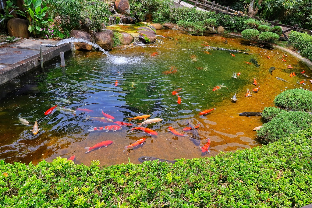 【龍潭景觀餐廳】山水緣庭園景觀餐廳，必吃經典客家菜色，提供精緻合菜! @混血珊莎的奇幻旅程