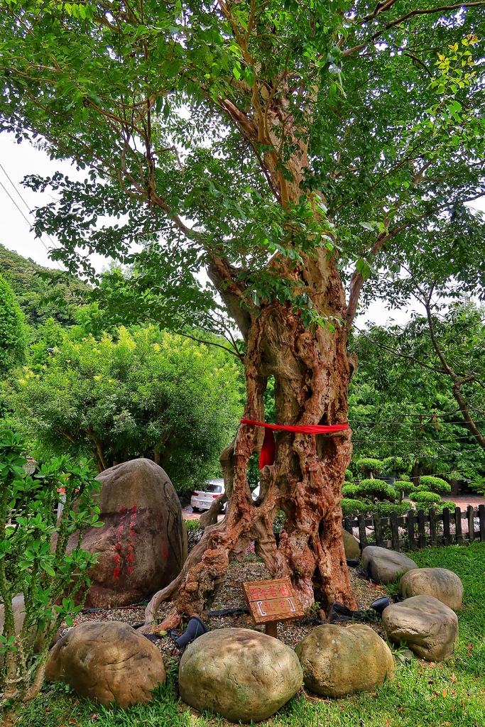 【龍潭景觀餐廳】山水緣庭園景觀餐廳，必吃經典客家菜色，提供精緻合菜! @混血珊莎的奇幻旅程