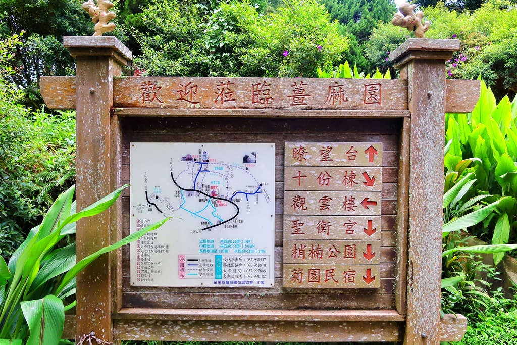 【苗栗民宿推薦】來到山上住一晚 菊園客家庄一泊二食三樂│神農薑麻體驗老薑蒸足浴 鍾鼎山林美味下午茶+薑黃主題晚餐 雲海仙境好愜意│苗栗大湖住宿推薦 @混血珊莎的奇幻旅程