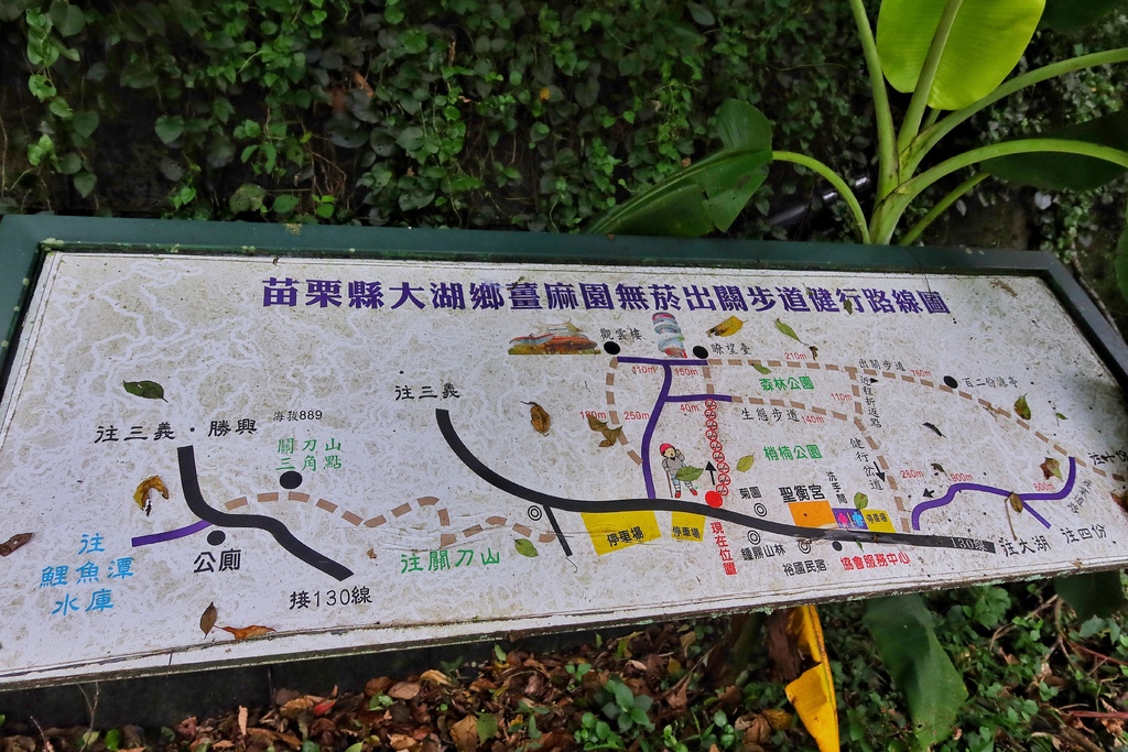 【苗栗民宿推薦】來到山上住一晚 菊園客家庄一泊二食三樂│神農薑麻體驗老薑蒸足浴 鍾鼎山林美味下午茶+薑黃主題晚餐 雲海仙境好愜意│苗栗大湖住宿推薦 @混血珊莎的奇幻旅程